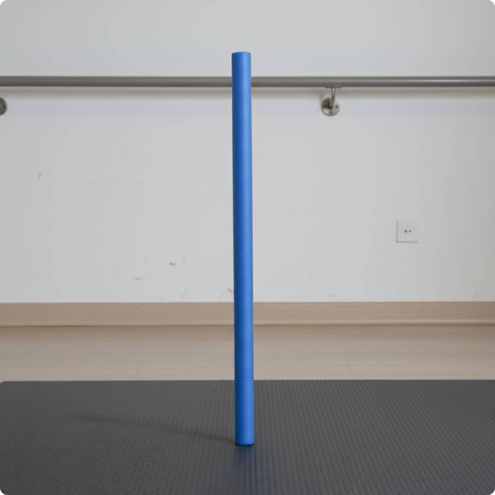 Pool Training Float Bar Cylind - Foam Pool Noodle 评论和价格