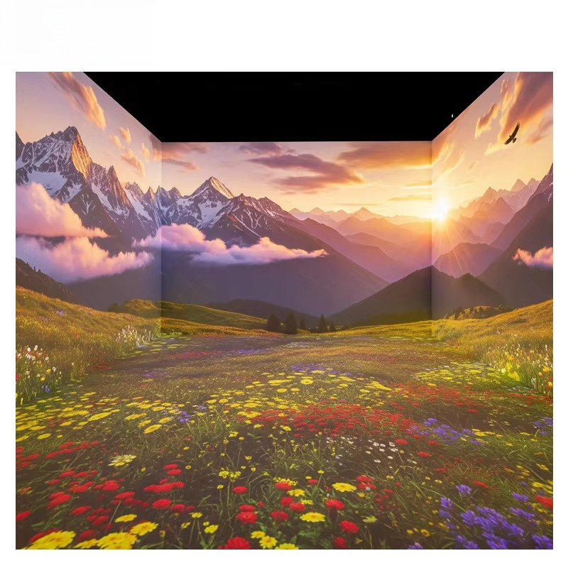 OEM&ODM Immersive Projector La - Gymnastics Beam Floor 评论和价格