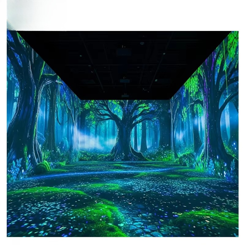 OEM&ODM Immersive Projector La - Gymnastics Beam Floor 评论和价格