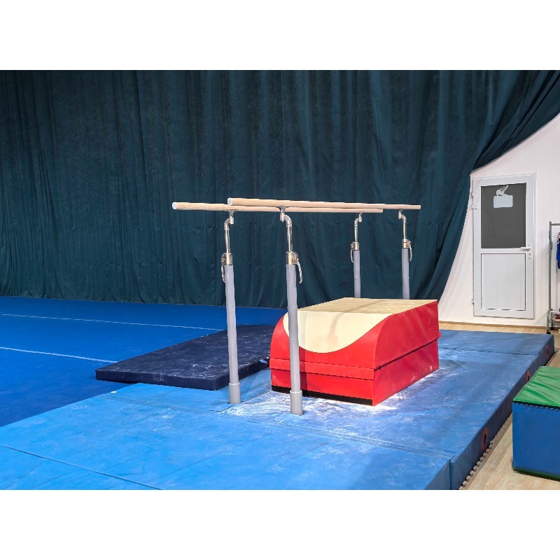 Professional gymnastics equipm - Gymnastics Beam Floor 评论和价格